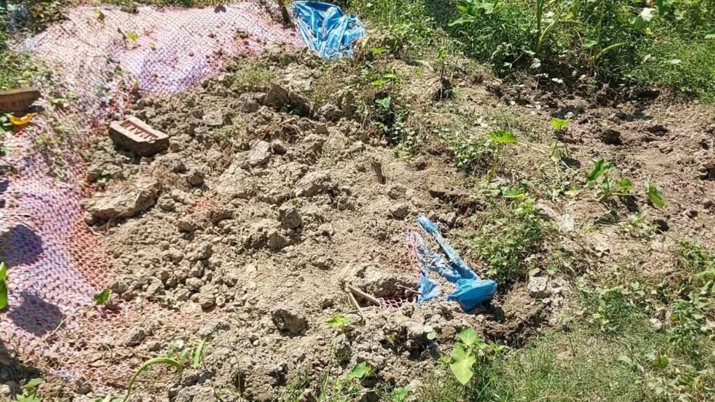 b25eeab0-5bdf-4e57-b765-b2cf29bec8e3