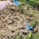 b25eeab0-5bdf-4e57-b765-b2cf29bec8e3